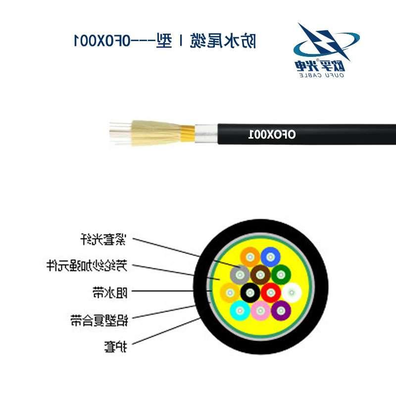 防水尾缆Ⅰ型